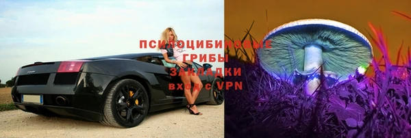 эйфоретик Кулебаки