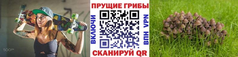 Псилоцибиновые грибы MAGIC MUSHROOMS  Михайловск 